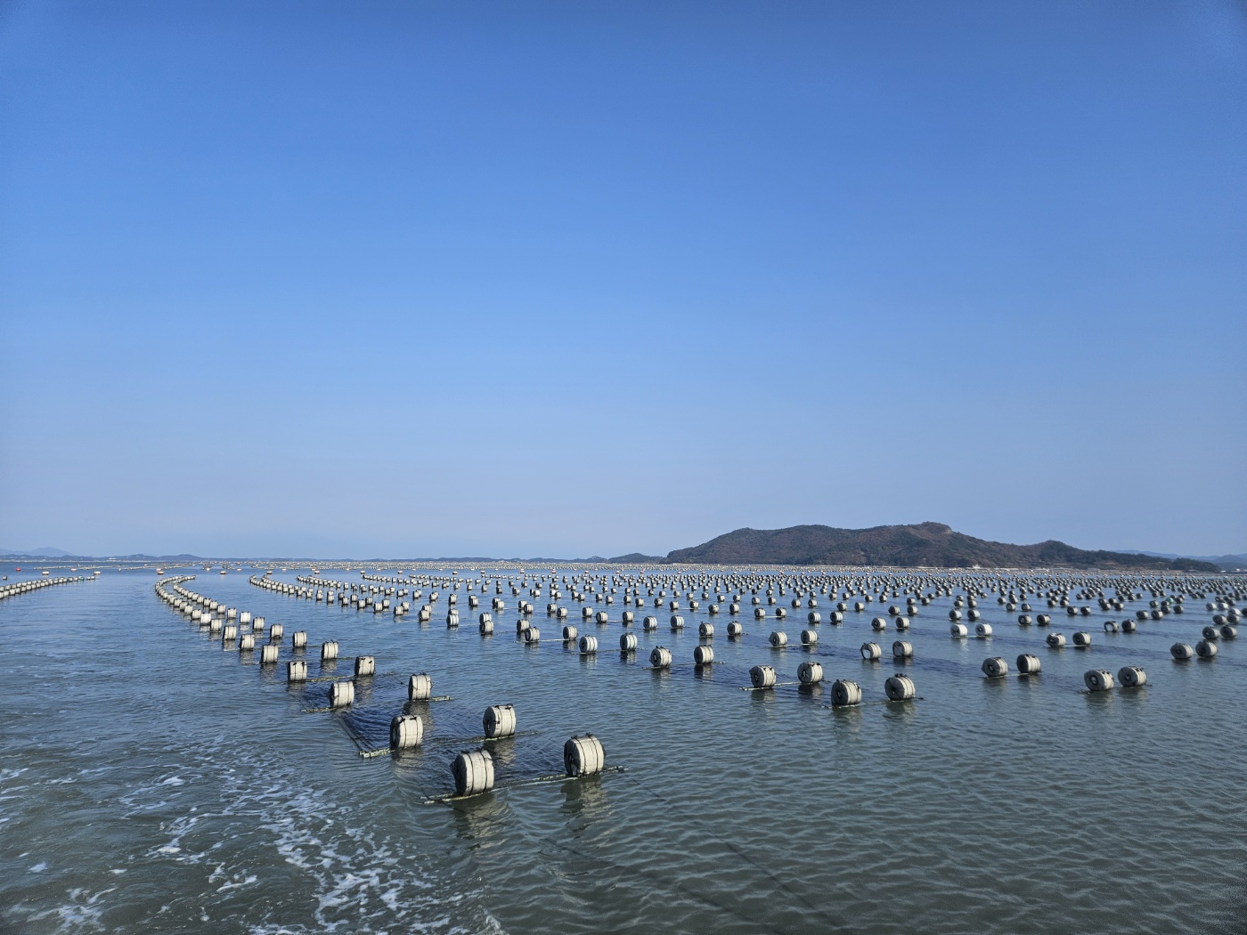 효율적인 경영 관리 이미지