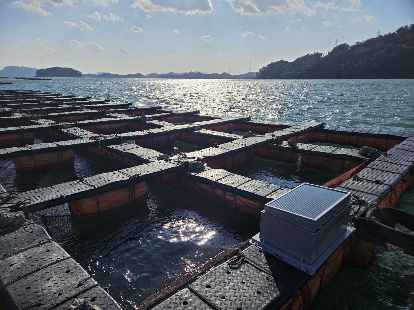 효율적인 경영 관리 이미지