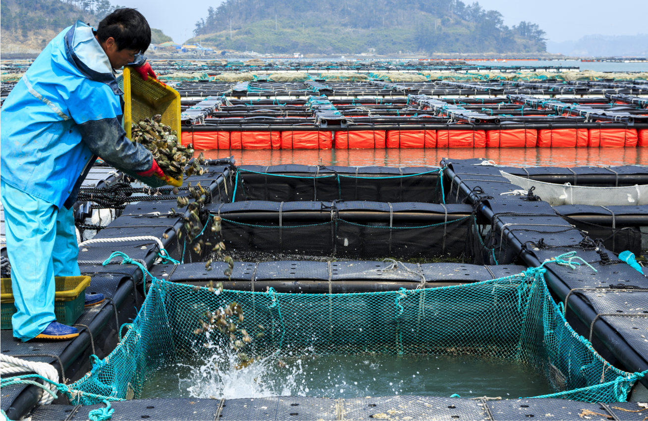어장 사육관리 솔루션 이미지